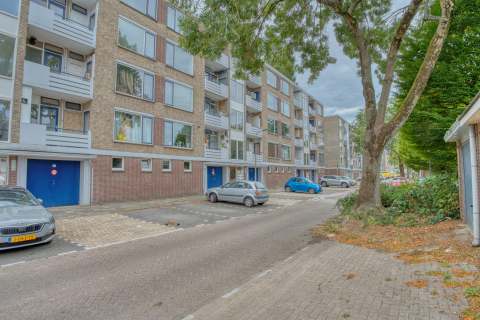 Hoofdfoto